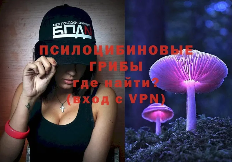 Галлюциногенные грибы MAGIC MUSHROOMS  Саратов 